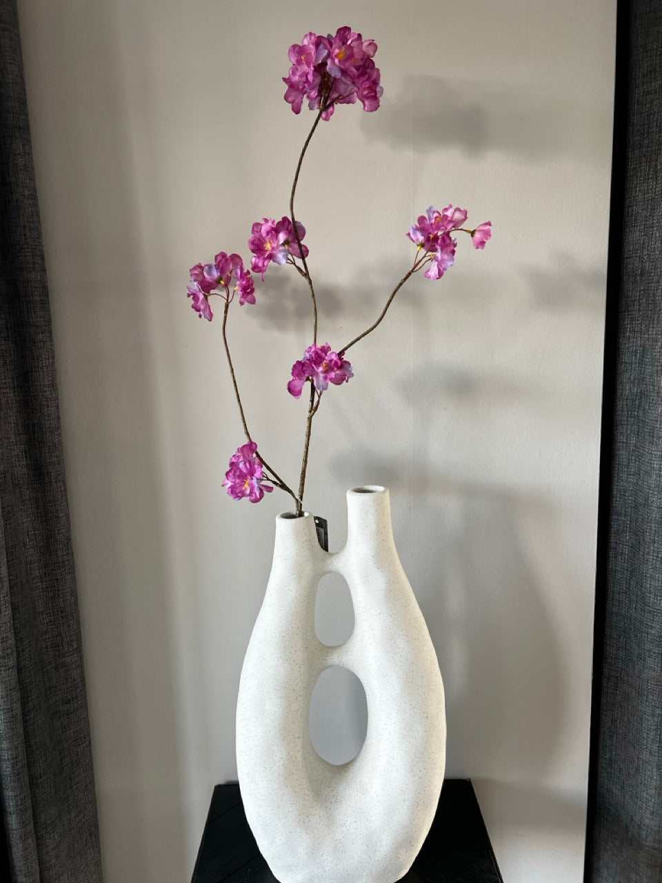 Tak Japanse sierkers (Prunus Malaga) - 84 cm hoog - Lavendel