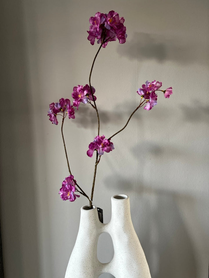 Tak Japanse sierkers (Prunus Malaga) - 84 cm hoog - Lavendel