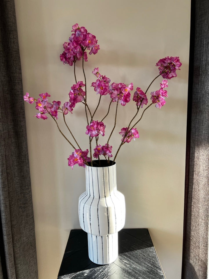 Tak Japanse sierkers (Prunus Malaga) - 84 cm hoog - Lavendel