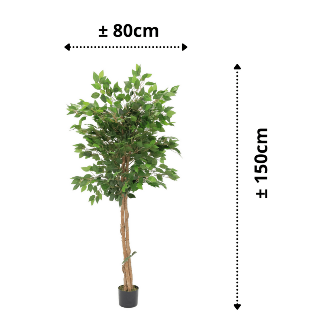 Kunst Ficus - 150cm hoog