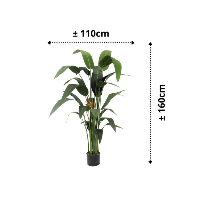 Strelitzia Kunstplant Met Bloem 160cm