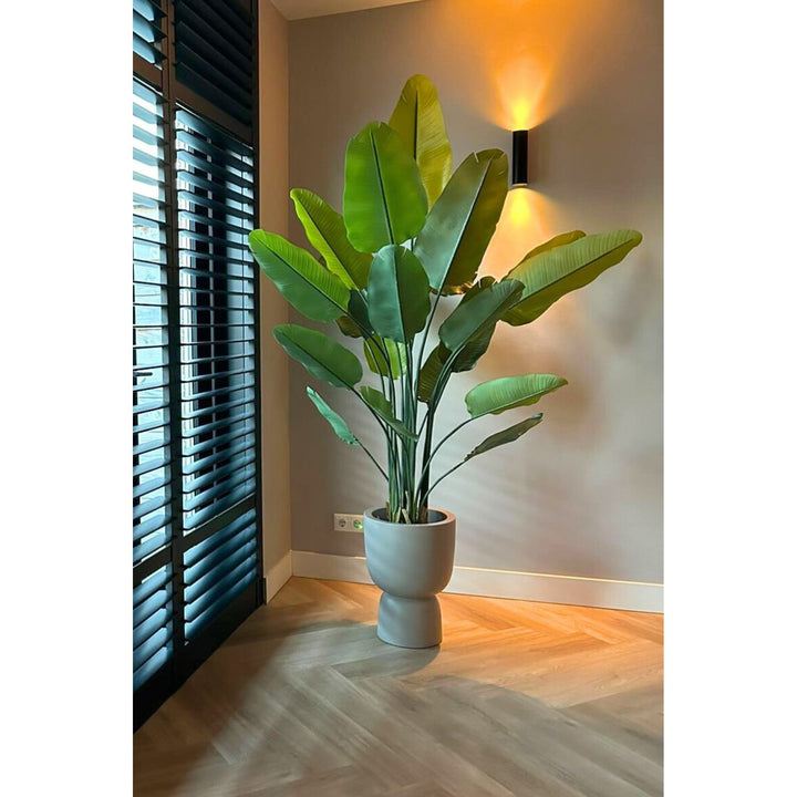 Strelitzia Kunstplant - 180cm hoog