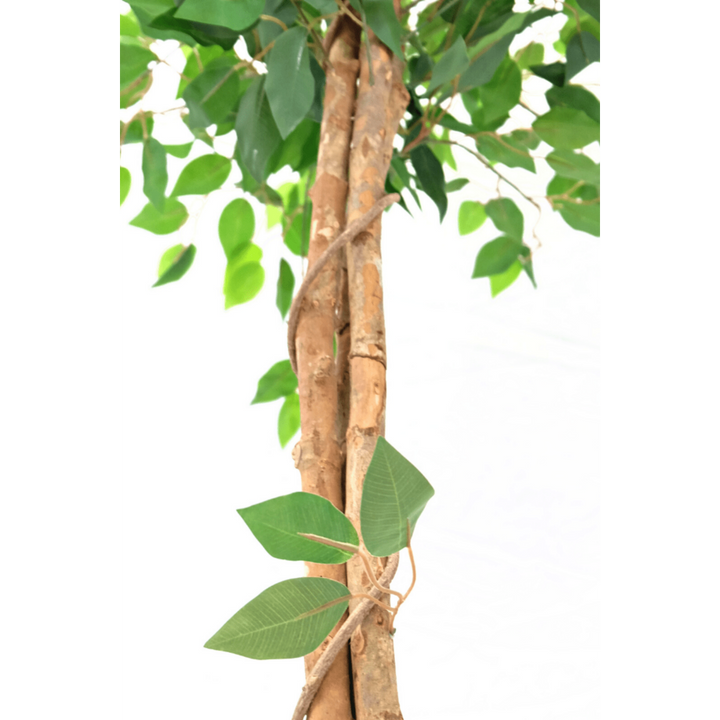 Kunst Ficus - 150cm hoog
