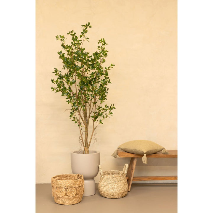 Ficus Kunstplant - 180cm hoog