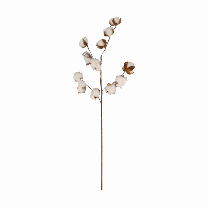 Cotton branch with large balls - 77 cm high - Brown/white