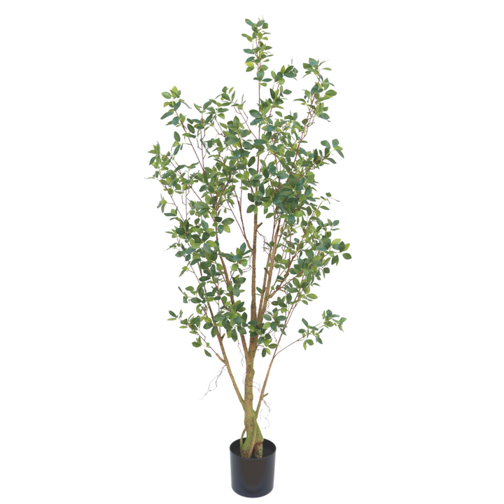 Ficus Kunstplant - 180cm hoog