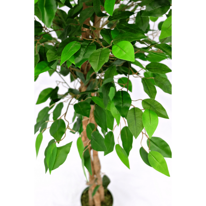 Kunst Ficus - 150cm hoog