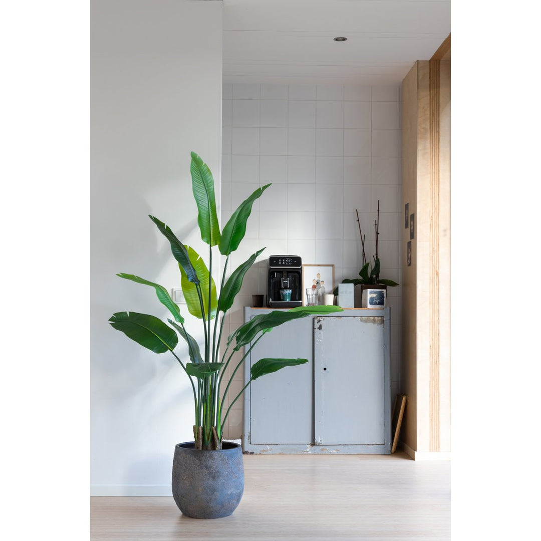 Strelitzia Kunstplant - 160cm hoog