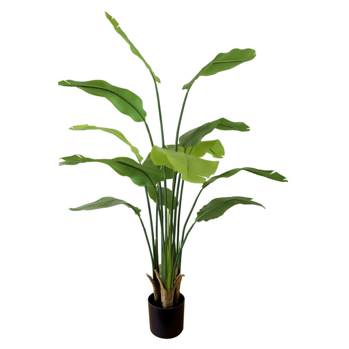 Strelitzia Kunstplant - 160cm hoog