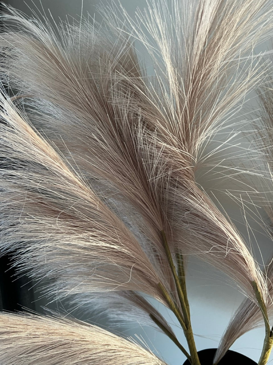 Artificial pampas Pluim - Taupe - 48 cm hoog