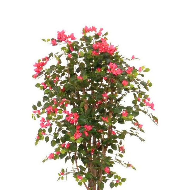 Bougainvillea Kunstplant - 180cm hoog