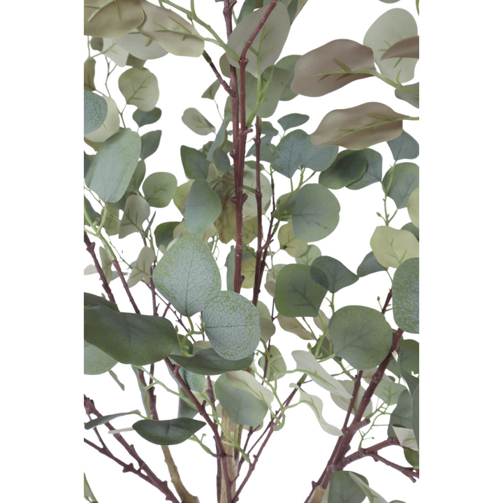 Eucalyptus Kunstboom - 160cm hoog