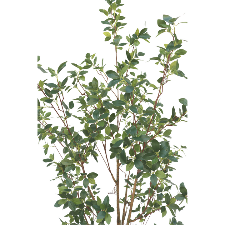 Ficus Kunstplant - 180cm hoog