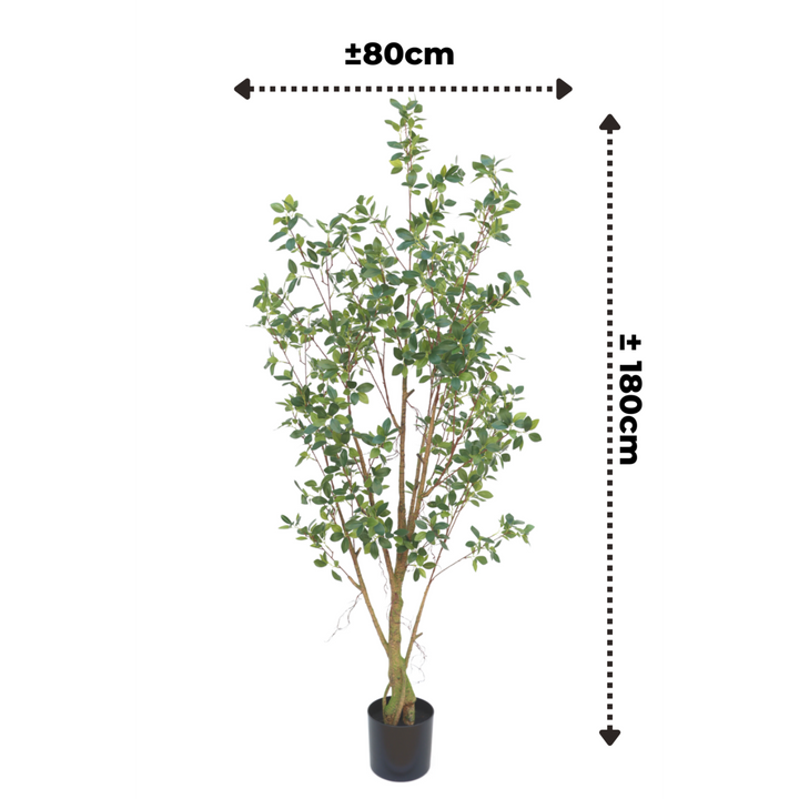 Ficus Kunstplant - 180cm hoog