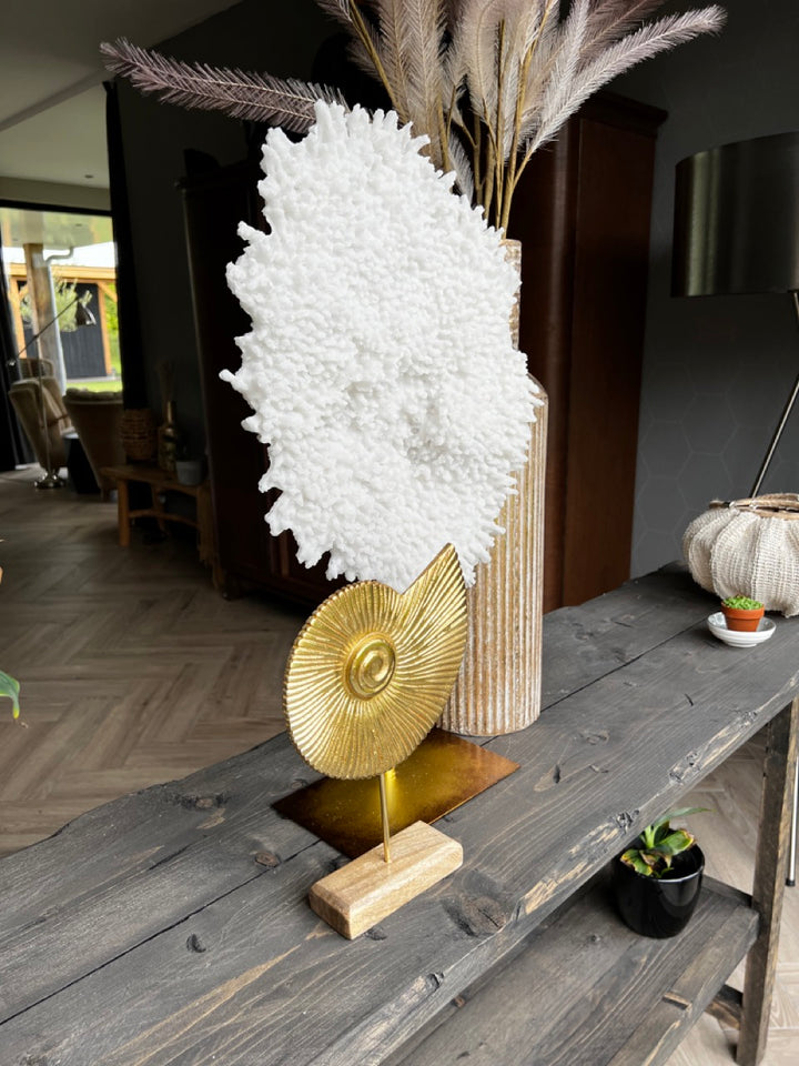 Gouden schelp ornament - 27 cm hoog