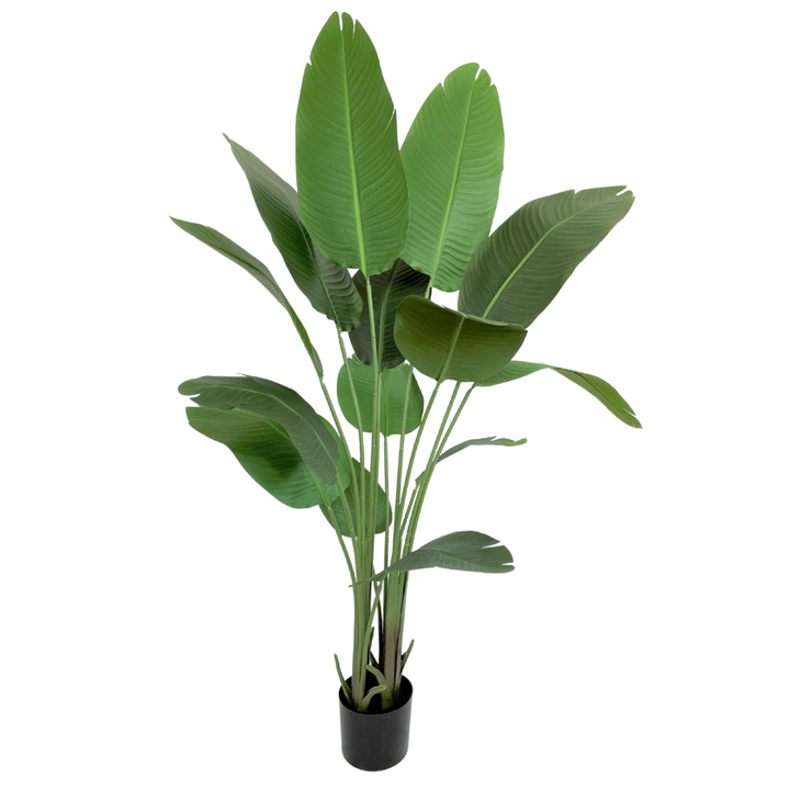 Groene Strelitzia Kunstplant - 160cm hoog