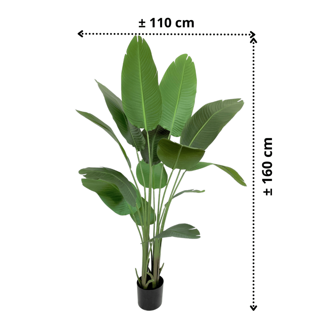 Groene Strelitzia Kunstplant - 160cm hoog