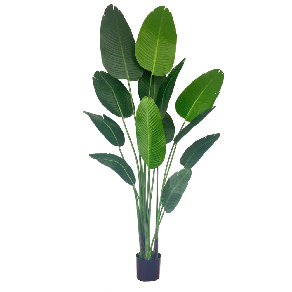 Groene Strelitzia Kunstplant - 180cm hoog