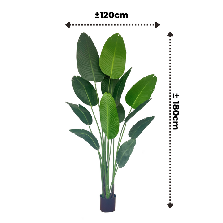 Groene Strelitzia Kunstplant - 180cm hoog