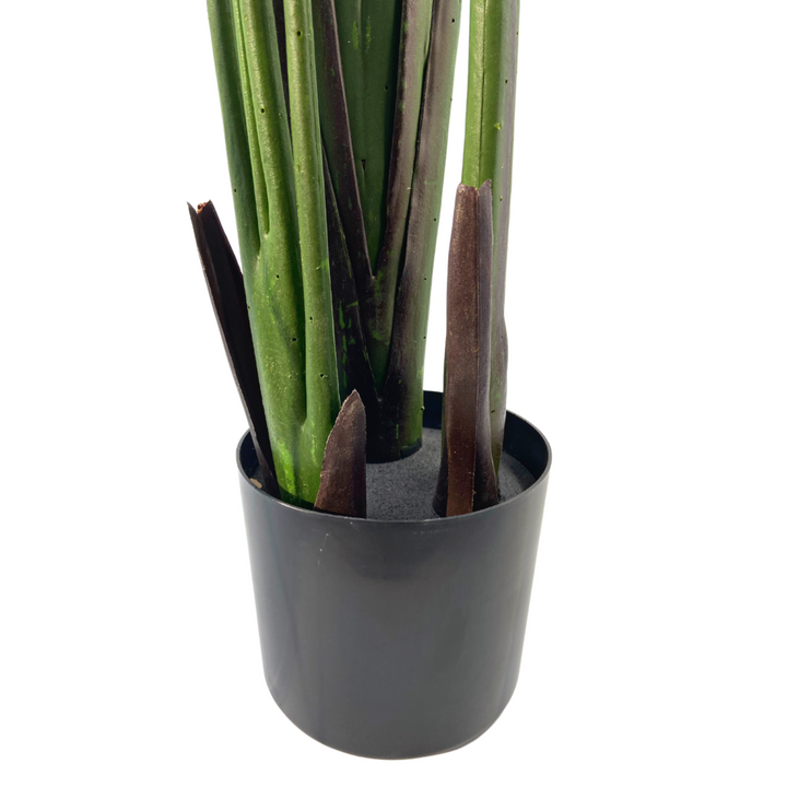 Groene Strelitzia Kunstplant - 180cm hoog