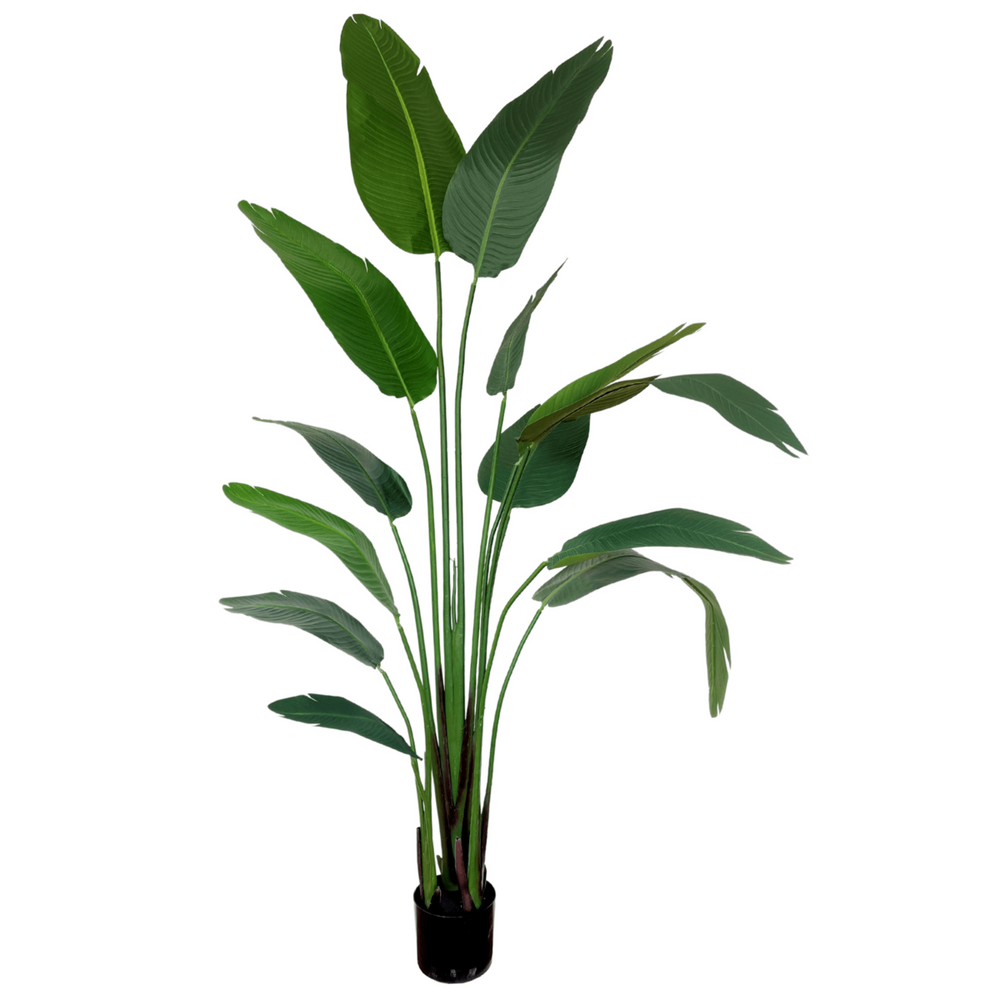 Groene Strelitzia Kunstplant - 210cm hoog