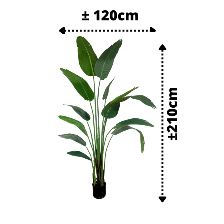 Groene Strelitzia Kunstplant - 210cm hoog