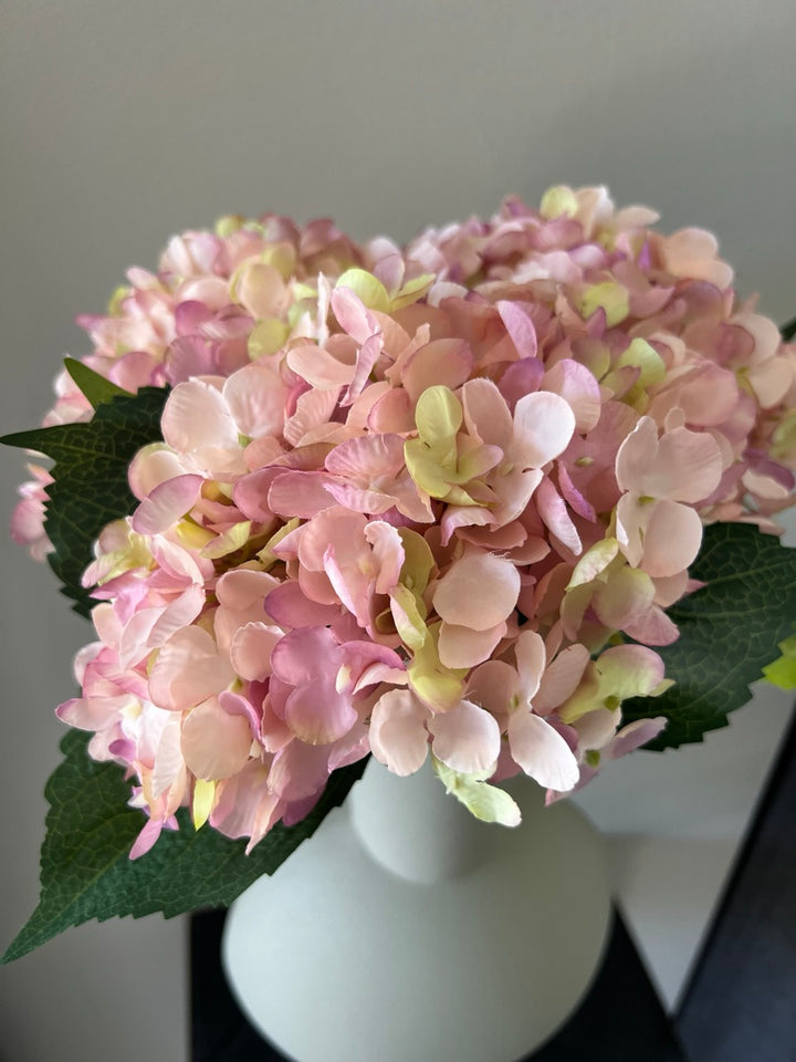 Hortensia tak - 53cm hoog - Oud Roze