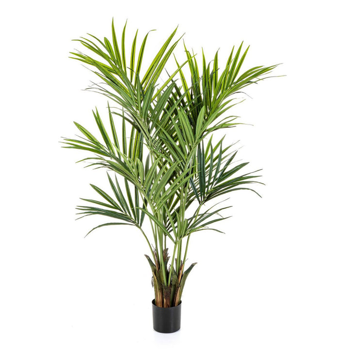 Kentia Kunstpalm - 180cm hoog