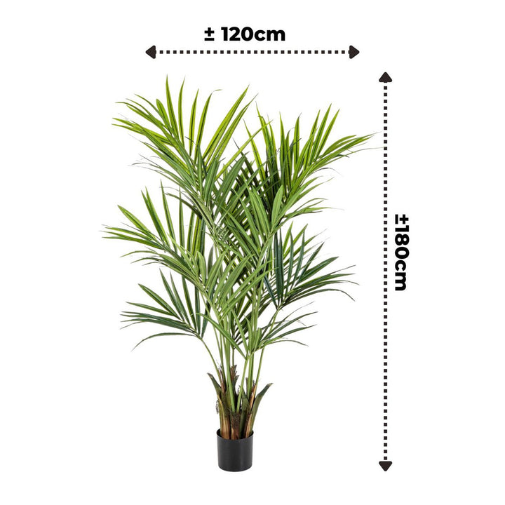 Kentia Kunstpalm - 180cm hoog