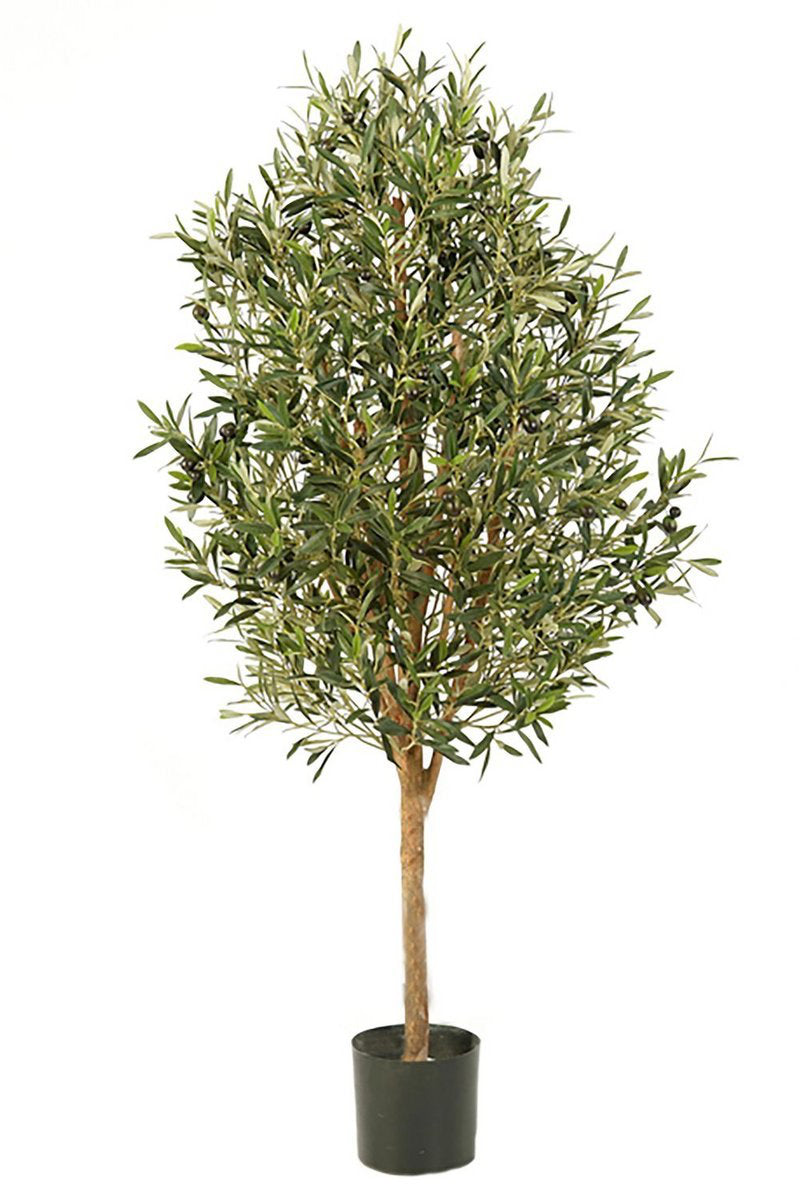 Kunst Olijfboom Deluxe - 170cm hoog