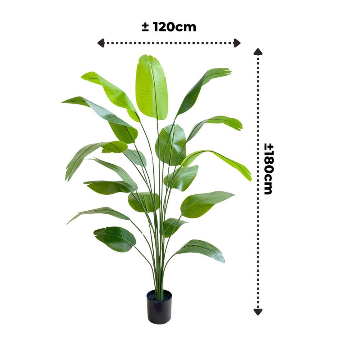 Kunstplant Strelizia - 180cm hoog