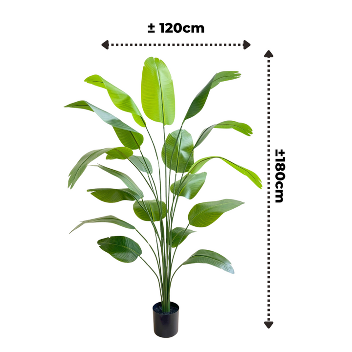 Kunstplant Strelizia - 180cm hoog