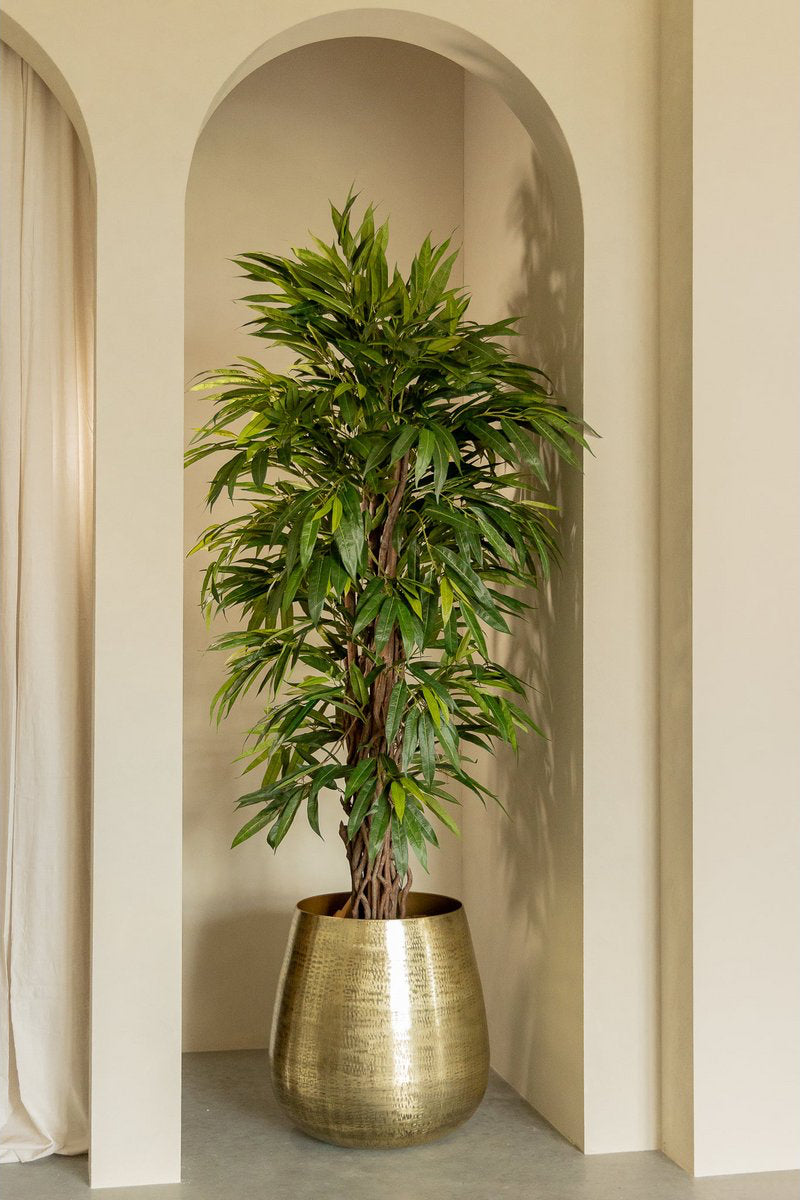 Longifolia Kunstplant - 180cm hoog