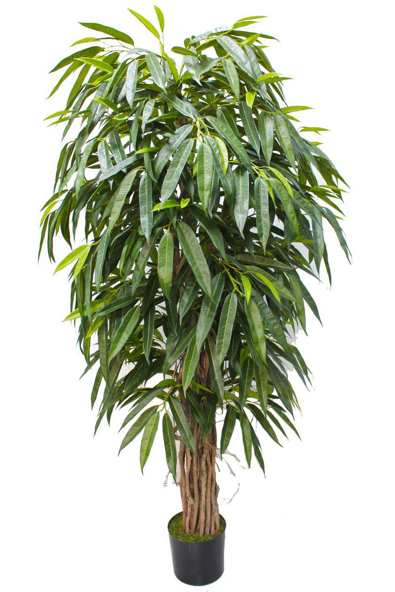 Longifolia Kunstplant - 180cm hoog