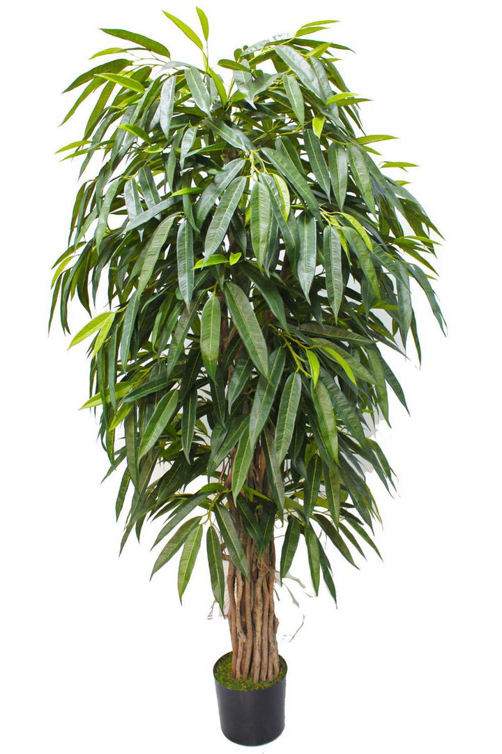 Longifolia Kunstplant - 180cm hoog