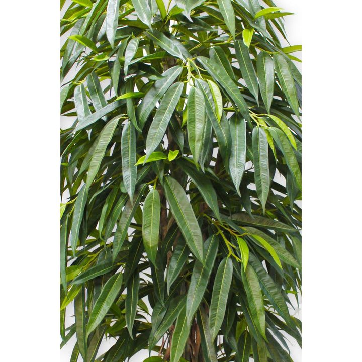 Longifolia Kunstplant - 180cm hoog