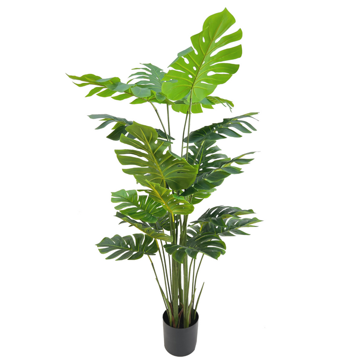 Monstera Kunstplant - 165cm hoog