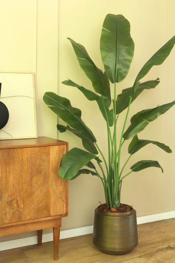 Strelitzia Kunstplant - 165cm hoog
