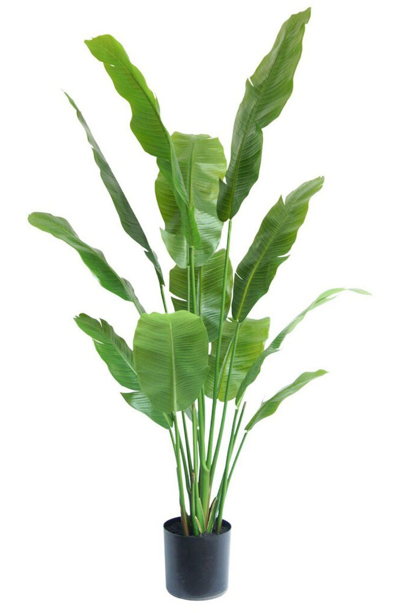 Strelitzia Kunstplant - 165cm hoog