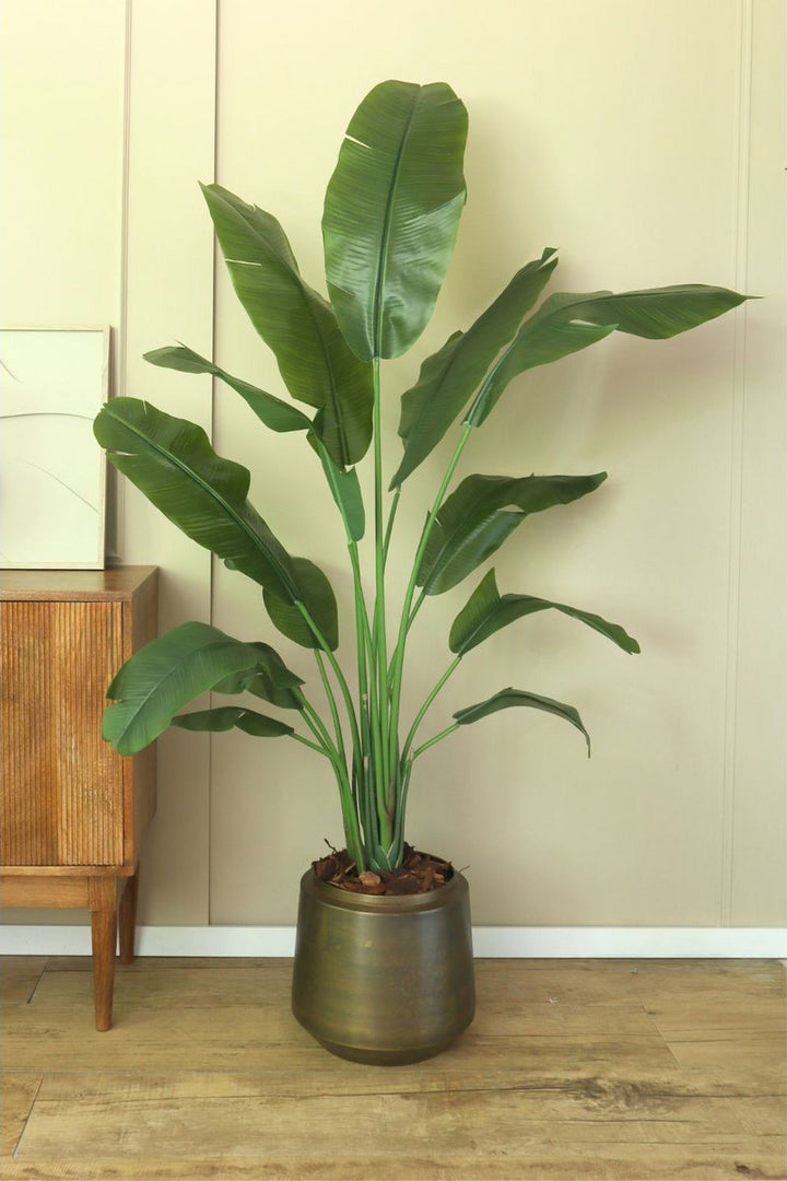 Strelitzia Kunstplant - 165cm hoog
