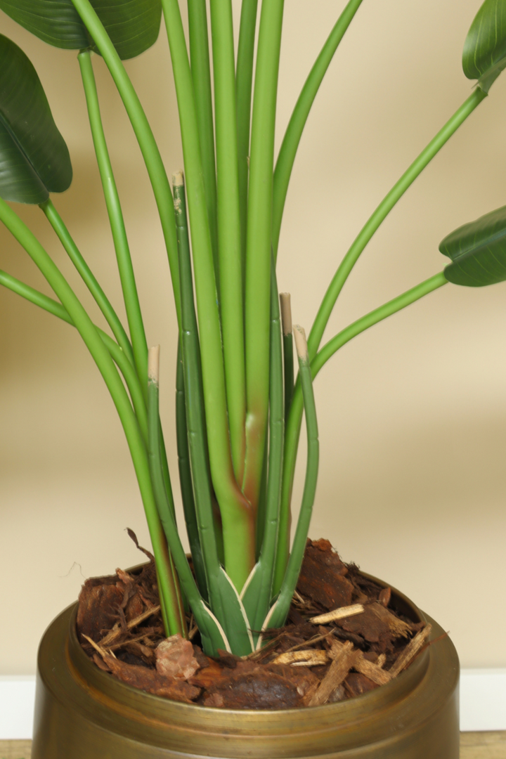 Strelitzia Kunstplant - 165cm hoog