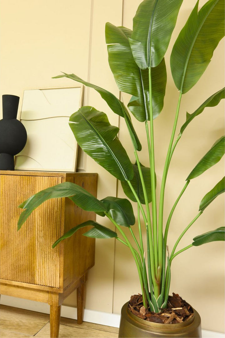 Strelitzia Kunstplant - 165cm hoog