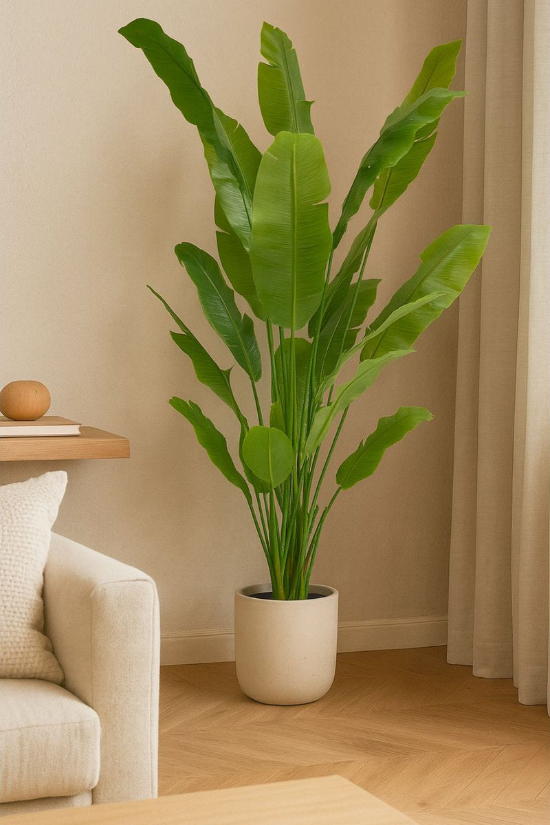 Strelitzia Kunstplant - 210cm hoog