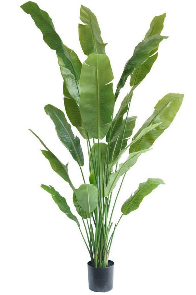 Strelitzia Kunstplant - 210cm hoog
