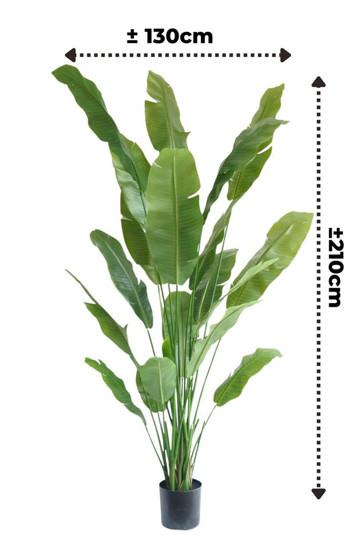 Strelitzia Kunstplant - 210cm hoog