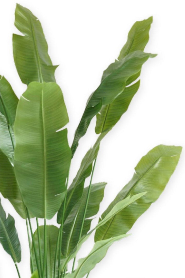 Strelitzia Kunstplant - 210cm hoog