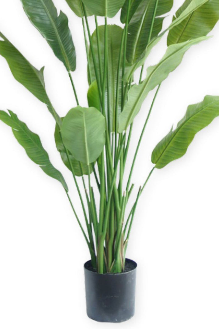 Strelitzia Kunstplant - 210cm hoog