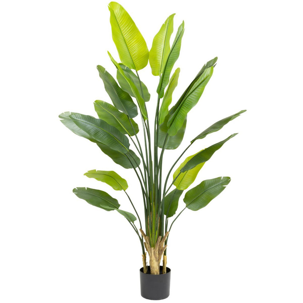 Strelitzia Kunstplant - 210cm hoog