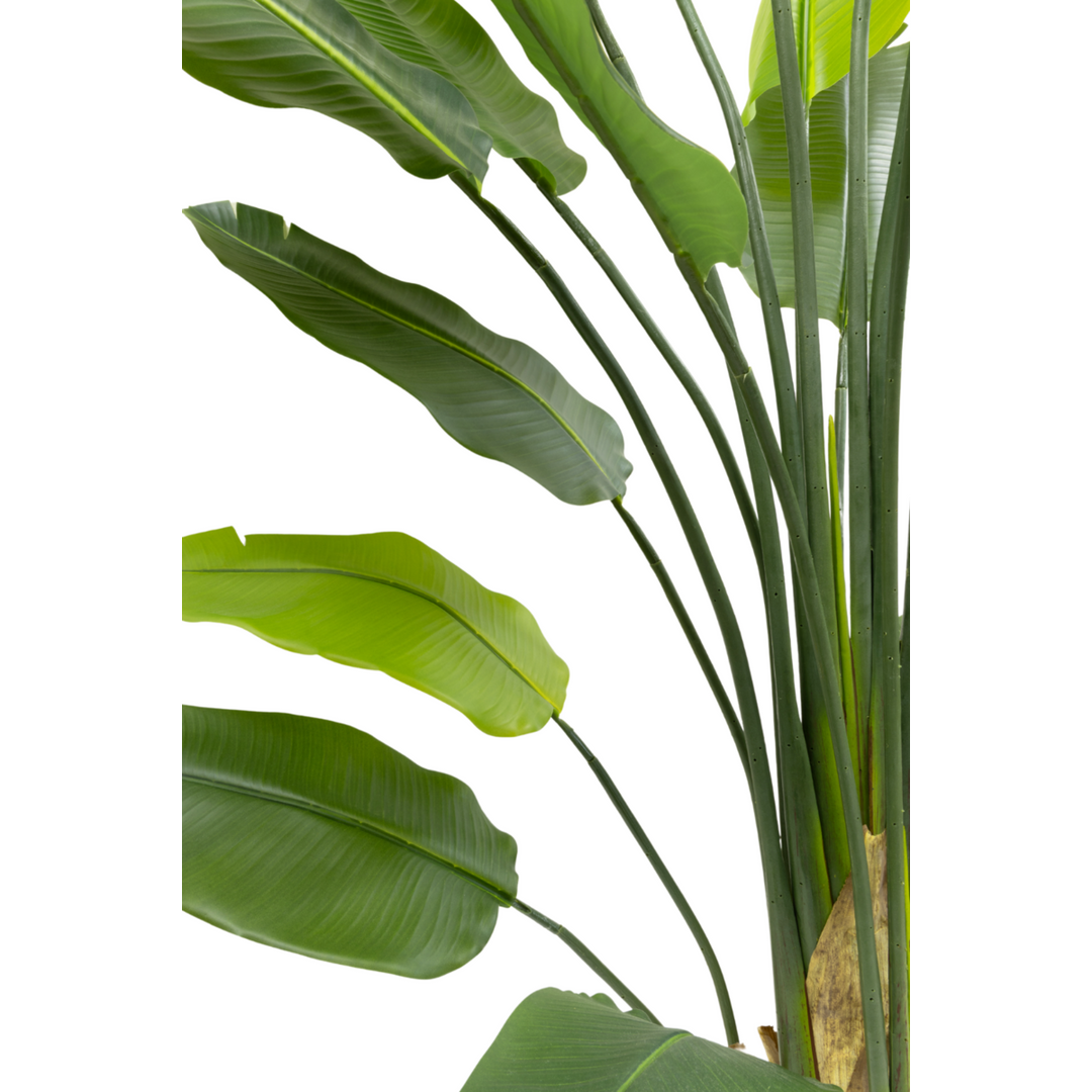 Strelitzia Kunstplant - 210cm hoog