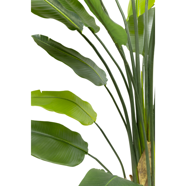 Strelitzia Kunstplant - 210cm hoog